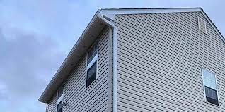 ### Historical Building Siding Restoration